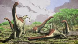 Los dinosaurios saurópodos se "repartían" los alimentos