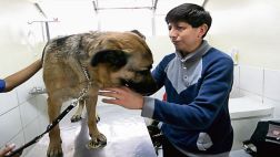 Invidente iniciará acción legal por lesión a su perro en bus
