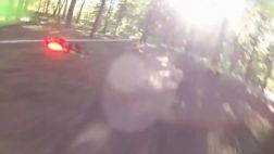 YouTube: drones compiten en carrera en medio de un bosque