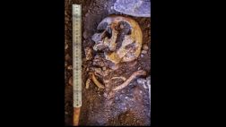 Mira los recientes hallazgos del centro Inca de Hatun Xauxa
