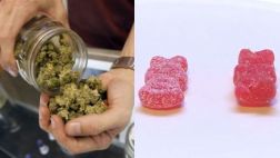 Halloween: dulces con marihuana provocan alerta en Denver