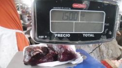 Carne de delfín se vendía en mercado de Huacho