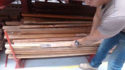 Ucayali incautó madera ilegal por S/. 1,8 mlls. este año