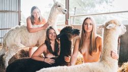 Facebook: futuras veterinarias se desnudan por los animales