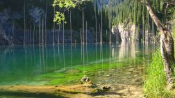 Descubre este hermoso bosque debajo del lago Kaindy