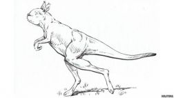El extraño canguro gigante que caminaba como los humanos