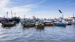 Encuentran los cuerpos de pescadores desaparecidos en Paita