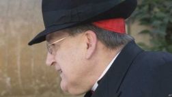 El cardenal anti gays que lideró la oposición al Papa Francisco