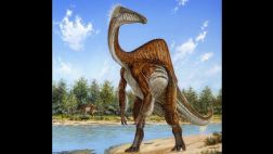 De un dinosaurio aterrador a uno parecido a el avestruz