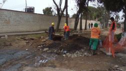 Peligro en Magdalena: ratas invaden casas por obra inconclusa