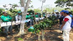 Productores de café se graduaron en escuelas de campo