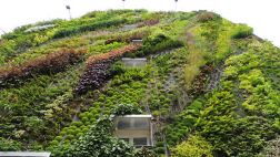 Mira este maravilloso jardín vertical en Francia
