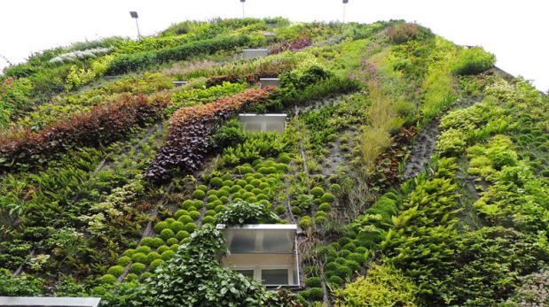 Mira este maravilloso jardín vertical en Francia
