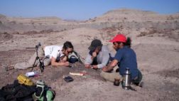 Descubren otros antecesores de los dinosaurios y mamíferos
