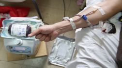 Directorio virtual de donantes de sangre ya está disponible