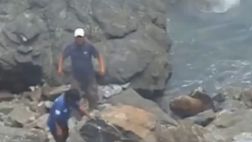 Ataque a lobo marino: identificaron a los dos agresores