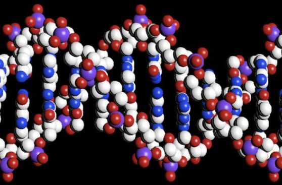 Google quiere almacenar tu genoma