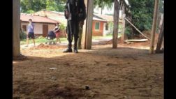 Colombia: Asesinan a tiros a dos policías en Tolima