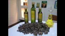 El Omega 3 ayuda a reducir la dependencia al tabaco