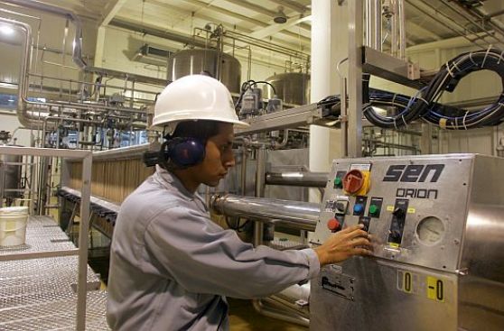Ghezzi: Manufactura tendría un "crecimiento nulo" en 2014