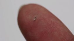 Diseñan robots que pueden recorrer el cuerpo por dentro