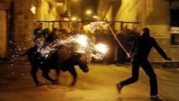 Facebook: polémica en España por tortura de toros con fuego