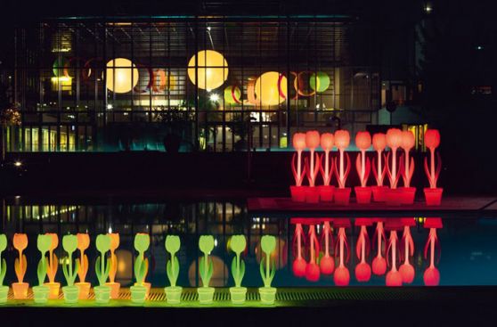 Lámparas tulipanes, una forma diferente de iluminar tu casa