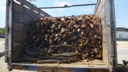 Fiscalía incauta madera ilegal valorizada en S/.26 millones
