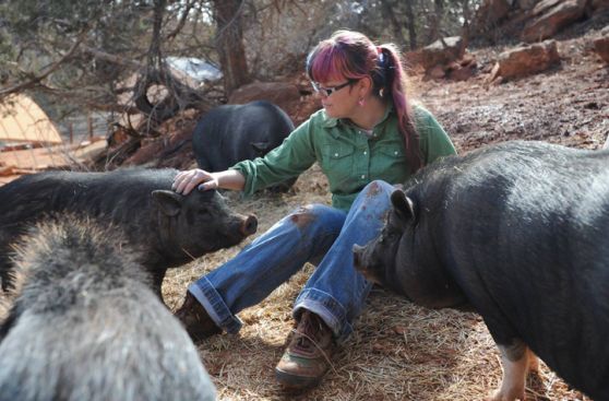 Disfruta de unas vacaciones ayudando en este santuario animal