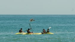 Tumbes para niños: Conoce las actividades que pueden realizar