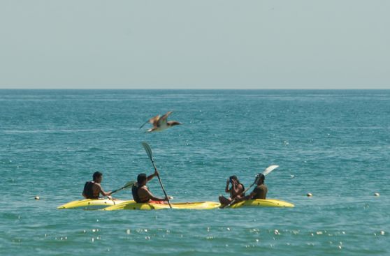 Tumbes para niños: Conoce las actividades que pueden realizar