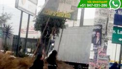 Vía WhatsApp: cartel de campaña amenaza caer en Santa Anita