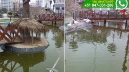 Vía WhatsApp: el mal estado de laguna artificial en Barranco