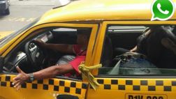 Vía WhatsApp: este conductor amarra la puerta con una soga