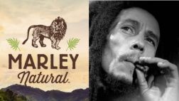 Bob Marley: ¿ícono global de la industria de la marihuana?