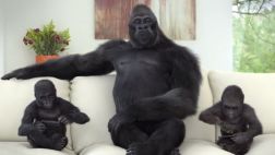 Gorilla Glass 4: Nueva generación de pantallas resistentes