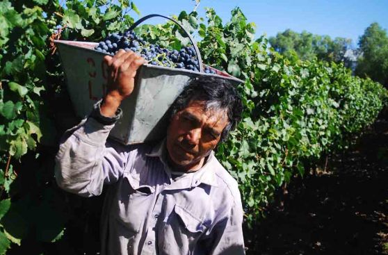 La otra ruta del vino: Recorre estas bodegas en Argentina