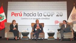 COP20: CEOs, científicos y cantantes participarán en la cita