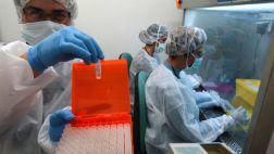 El increíble beneficio que nos dan los virus