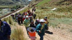 La Oroya vivió fiesta de siembra de árboles y plantas