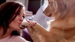 Seis razones por las que debes considerar adoptar una mascota
