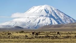 Editorial: Un tuerto en la COP 20