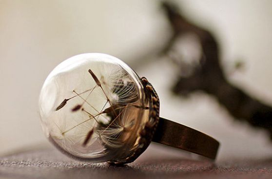 Estos anillos y collares están creados con flores reales