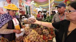 Come Peruano: un Misturita gratuito en Campo de Marte