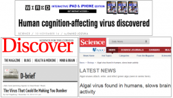 ¿Existe realmente un virus de la estupidez?