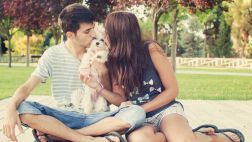 Cinco lecciones de amor que debemos rescatar de nuestro perro