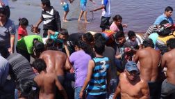 Alerta por consumo de carne de ballena en el puerto de Paita
