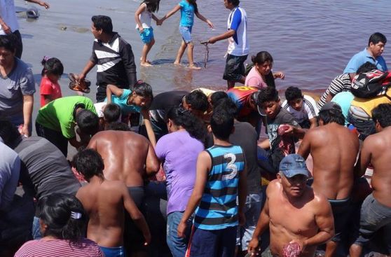Alerta por consumo de carne de ballena en el puerto de Paita