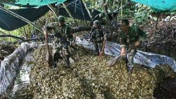 Invierten S/. 4 millones para combatir narcotráfico en Iquitos