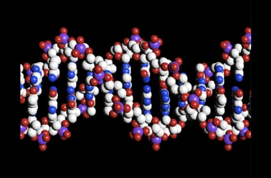 Edición del ADN: una nueva era en la medicina